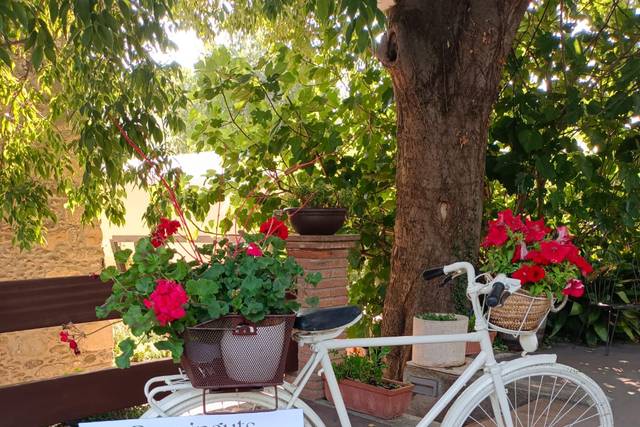Abelia i Mel 1