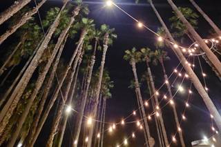 Tu&Me Events - 10