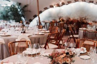 Romeos & Julietas - 8