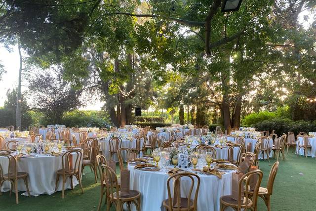 Huerto Montesinos - Catering Cinco 1