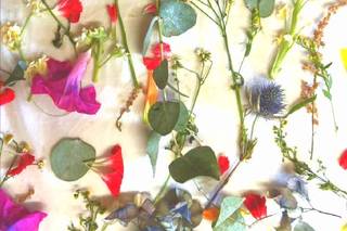 Las Flores de Greta - 6