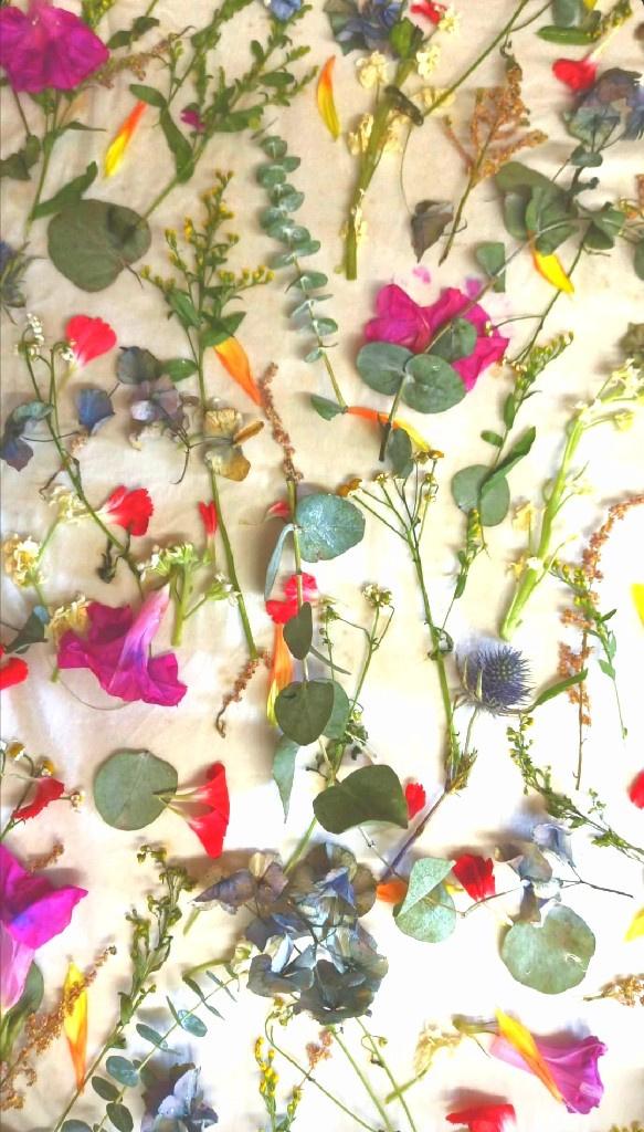 Las Flores de Greta - 3