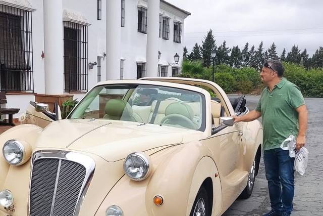 Magistral Royal Cars 4