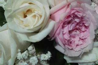 Floristería Mundiflor - 9