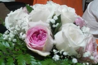 Floristería Mundiflor - 10