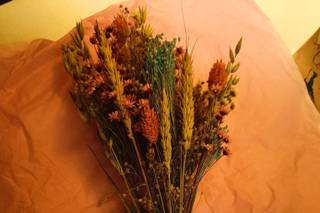 Facta botanica - 5