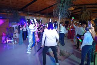Crazy Party - 5