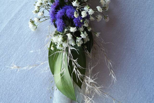 Flors Mas Lluhi 2