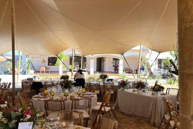 Cecilia Cruz Eventos 4