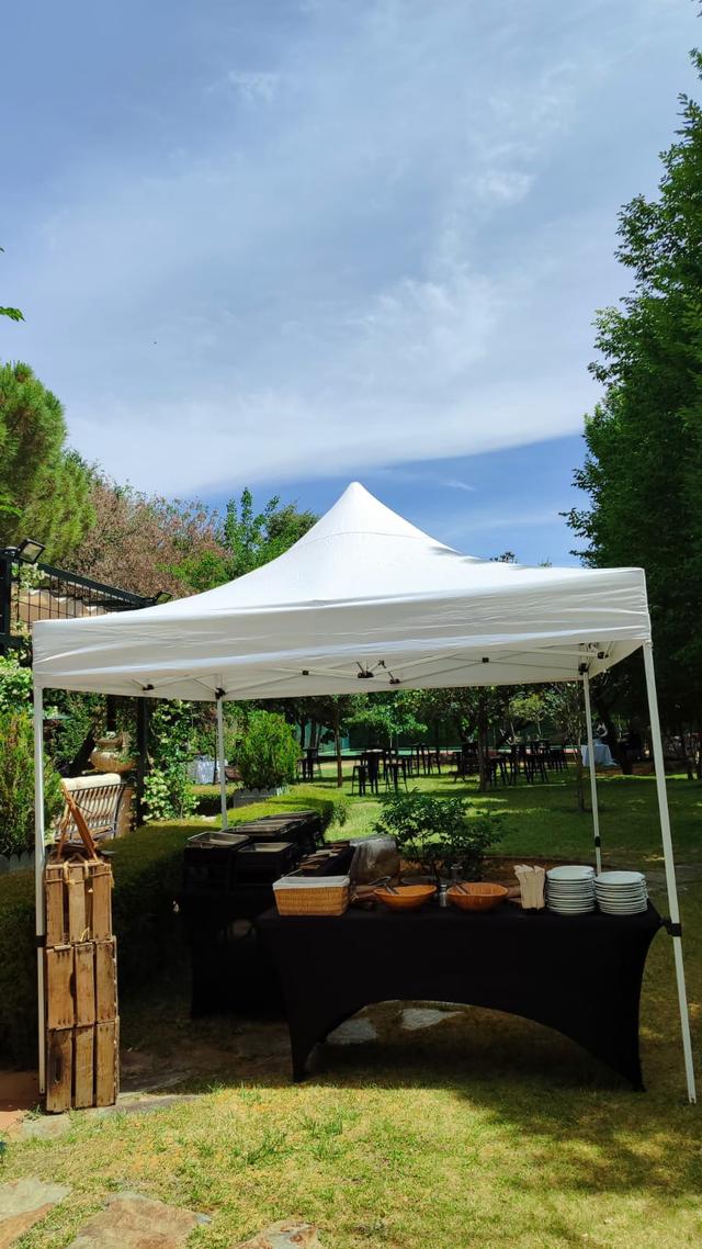 Patagonia Grill - 2