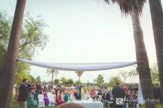 Roel Schins Photography - 9