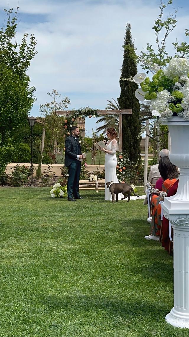 Amor Loco Wedding Planner - 4