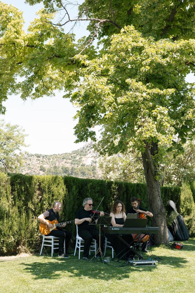 Grupo Vivace - 2