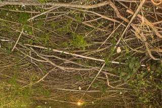 Es Revellar Art Resort - 10