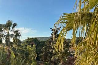 Alice's Weddings - 2