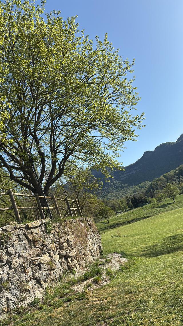 Masía El Collell - 2