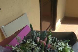 Rincón Floral - 8