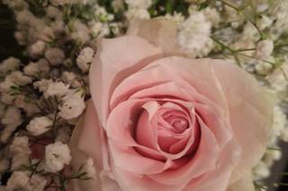 Amanda López Estudio Floral - 7