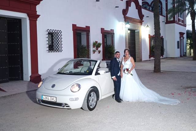 Beetle Love Bodas 2