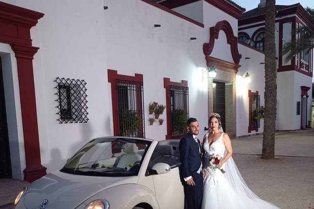 Beetle Love Bodas 3