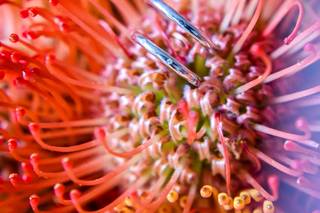Liven Photography - 11