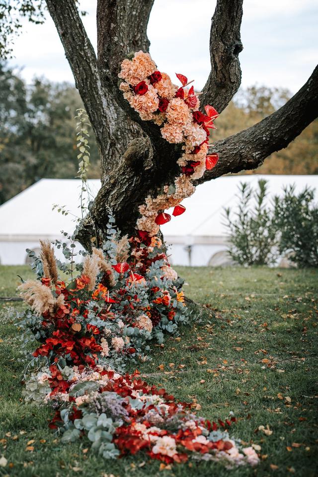 El Racó de les Flors - 2