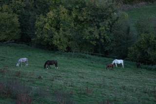 Masía El Collell - 7