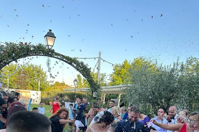 Restaurante El Lomo - El Jardín de Amelia 3