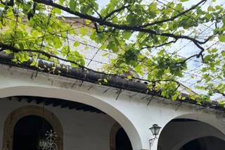 Bodegas Lustau - 6