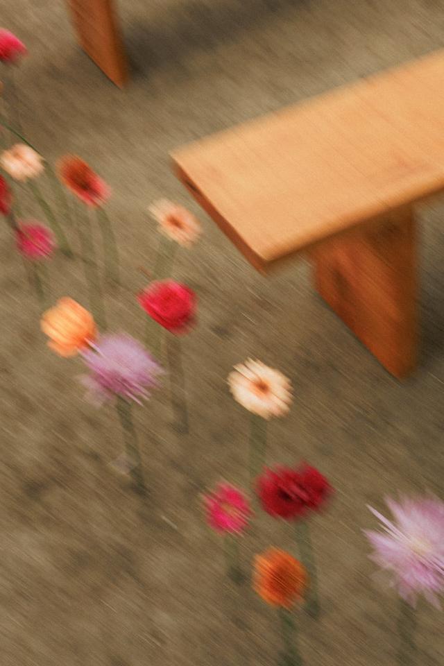 QuéPipa! wedding & event planner - 2