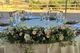 Jardinería Las Jaras - 22