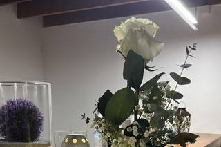 Floristeria TaideFlor - 7