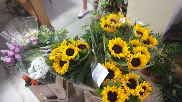 Antonio Floristas - 3