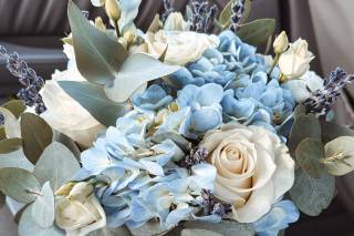 Flores Trisquel - 13