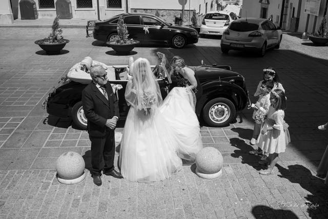 Magistral Royal Cars 2