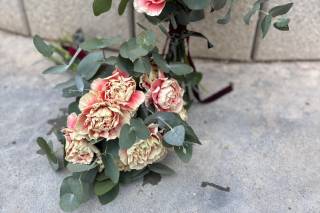 Floraila - 7