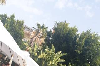 Marbella Parties - 5