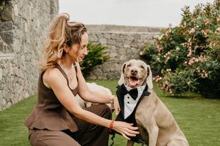 Tu perro en tu boda - 6