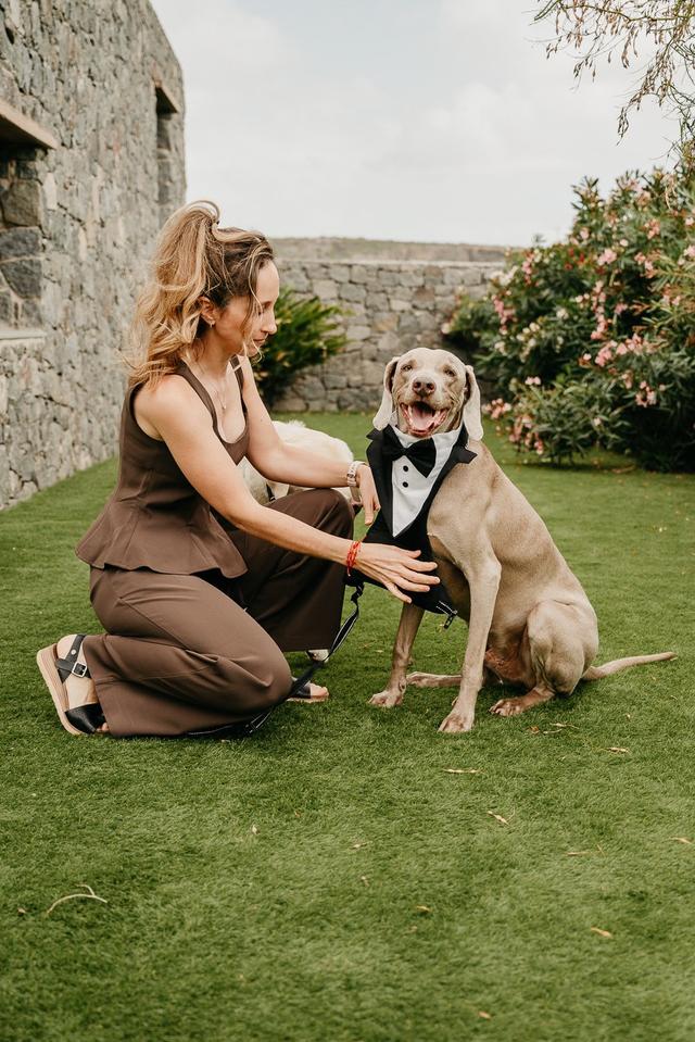 Tu perro en tu boda - 2