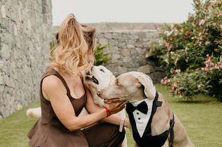 Tu perro en tu boda - 8