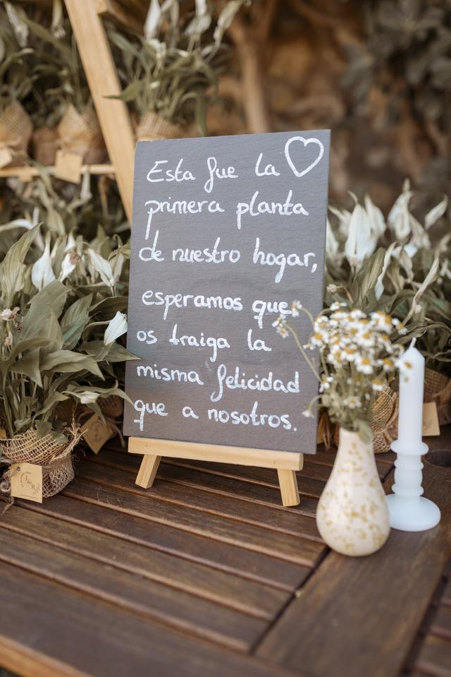 Miss pensamientos - 2