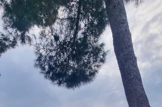 Pasito Blanco Weddings & Events - 9