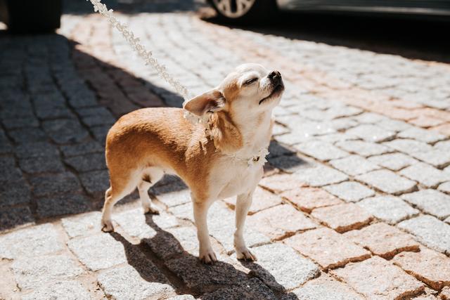 Ultraviolet Events - 3