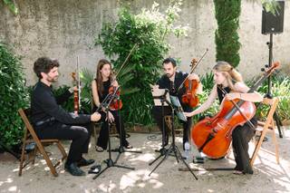Edelweiss Quartet - 9