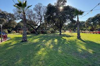 Finca Casaes - 5