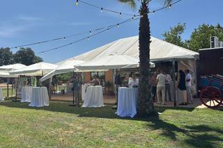 Finca Casaes - 7
