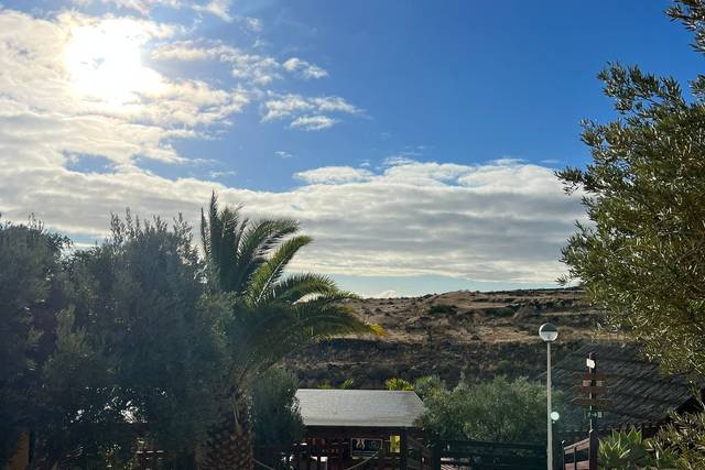 Los Olivos 2