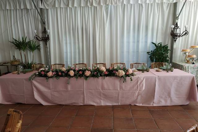 Bonsai Eventos 5