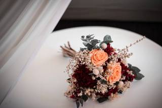 Protea Blooms - 6