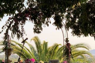 Floristería Rosazul - 5